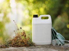 Radikal glyphosate, le désherbant total aux résultats redoutables et précautions essentielles