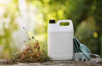 Radikal glyphosate, le désherbant total aux résultats redoutables et précautions essentielles