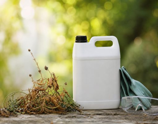 Radikal glyphosate, le désherbant total aux résultats redoutables et précautions essentielles