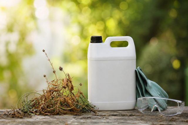 Radikal glyphosate, le désherbant total aux résultats redoutables et précautions essentielles